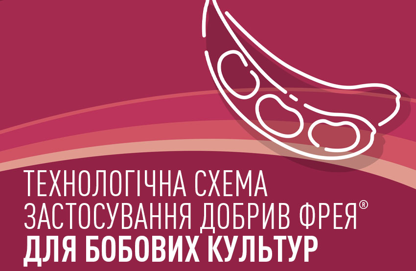 Технологічні схеми комплексного застосування добрив Фрея® для сої, гороху, люпину, вики, буркуну, люцерни, конюшини
