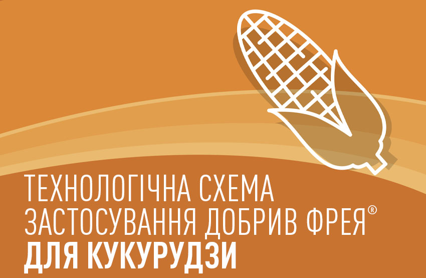 Технологічні схеми комплексного застосування добрив Фрея® для кукурудзи