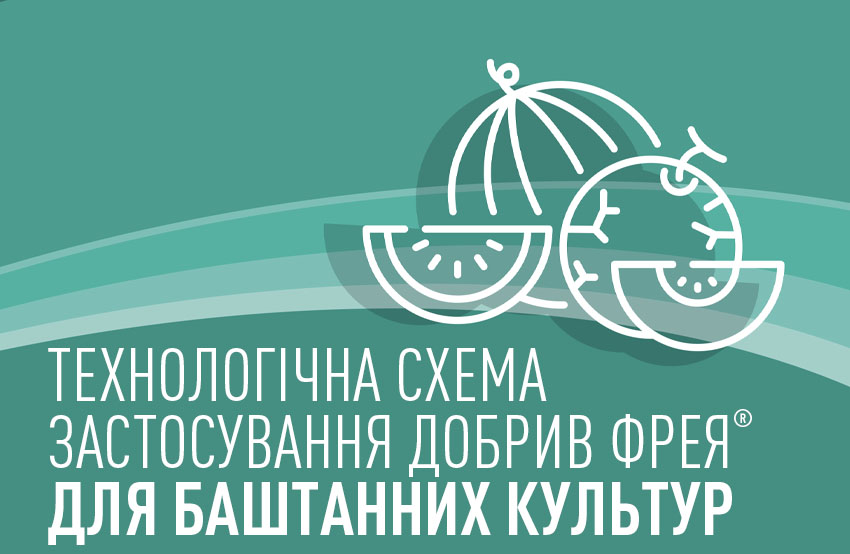 Технологічні схеми комплексного застосування добрив Фрея® для кавунів, дині, кабачків, гарбузів